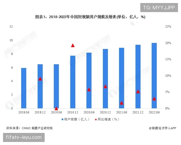 费耶未来五年规划聚焦可持续发展与技术创新，业绩表现亮眼