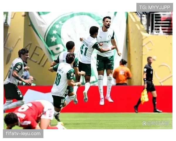 南美足坛格局重塑：谁将接棒成为新一代足球霸主？