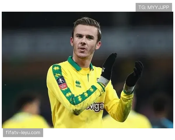 诺维奇新星美国前锋闪耀赛场，助球队斩获关键胜利